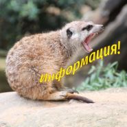 Изменение номера телефона с 29.04.2026г.